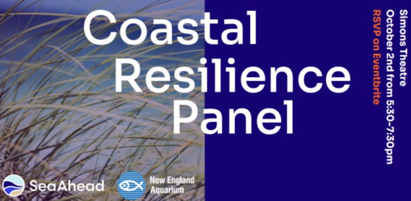 Coastal Resilience Panel October 2024 SeaAhead